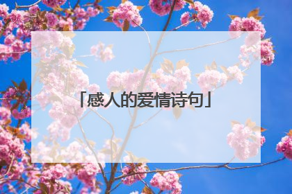 感人的爱情诗句