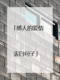 感人的爱情表白句子