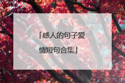 感人的句子爱情短句合集