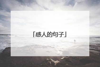 感人的句子
