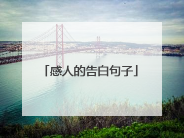 感人的告白句子