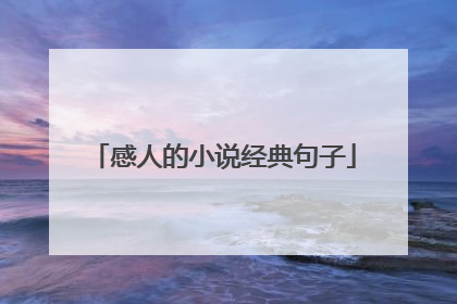 感人的小说经典句子