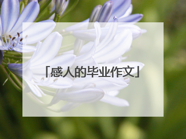 感人的毕业作文