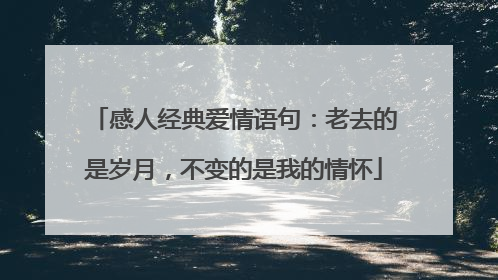 感人经典爱情语句:老去的是岁月,不变的是我的情怀