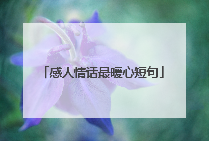 感人情话最暖心短句