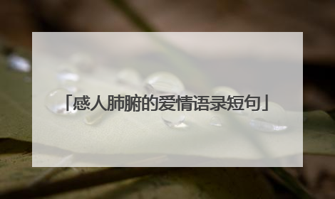 感人肺腑的爱情语录短句
