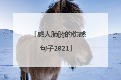 感人肺腑的伤感句子2021