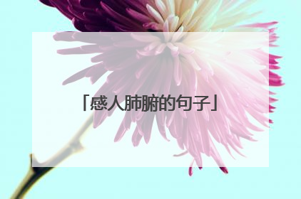 感人肺腑的句子
