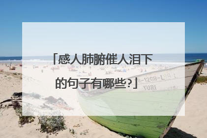 感人肺腑催人泪下的句子有哪些?