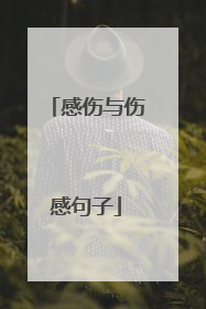 感伤与伤感句子