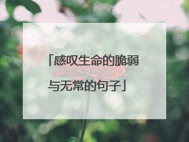 感叹生命的脆弱与无常的句子
