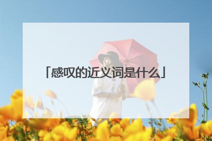 感叹的近义词是什么