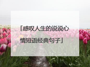 感叹人生的说说心情短语经典句子