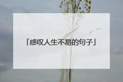 感叹人生不易的句子