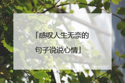 感叹人生无奈的句子说说心情