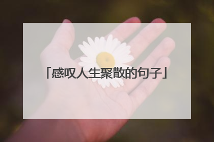 感叹人生聚散的句子