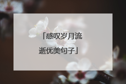 感叹岁月流逝优美句子