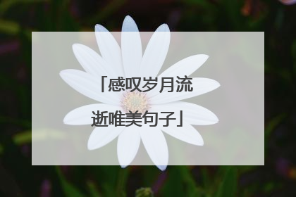 感叹岁月流逝唯美句子