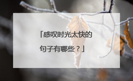 感叹时光太快的句子有哪些?