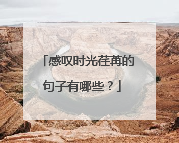 感叹时光荏苒的句子有哪些?