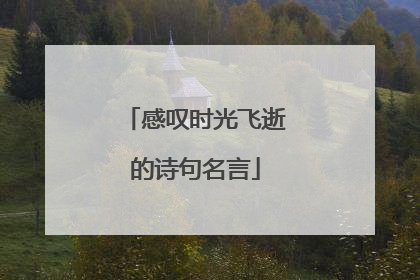 感叹时光飞逝的诗句名言