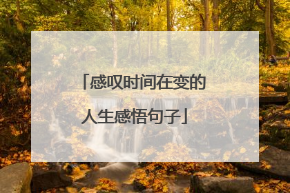 感叹时间在变的人生感悟句子