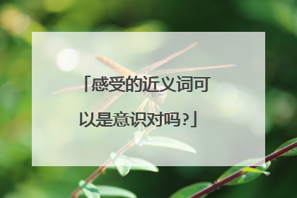 感受的近义词可以是意识对吗?