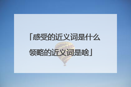 感受的近义词是什么领略的近义词是啥