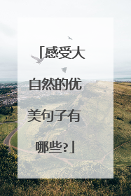 感受大自然的优美句子有哪些?