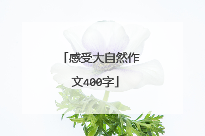 感受大自然作文400字