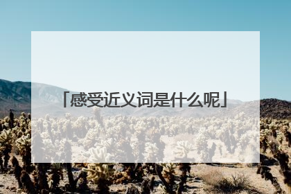 感受近义词是什么呢