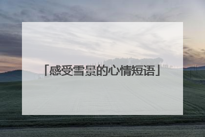 感受雪景的心情短语