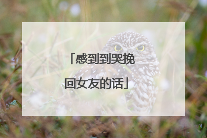 感到到哭挽回女友的话