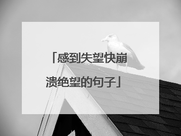 感到失望快崩溃绝望的句子