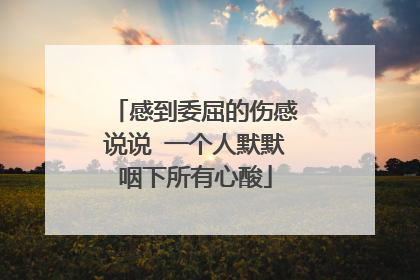 感到委屈的伤感说说 一个人默默咽下所有心酸