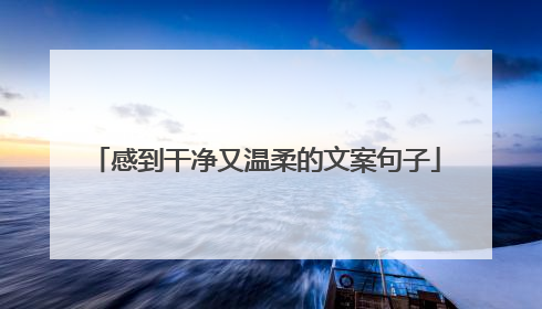 感到干净又温柔的文案句子