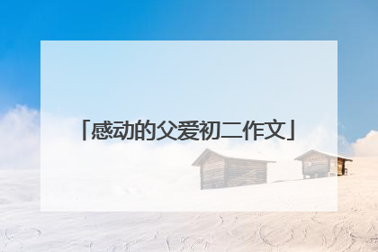 感动的父爱初二作文