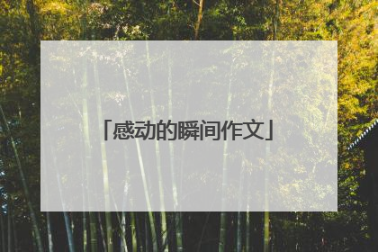 感动的瞬间作文