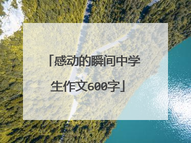 感动的瞬间中学生作文600字