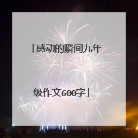 感动的瞬间九年级作文600字