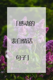 感动的表白情话句子