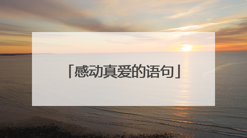 感动真爱的语句