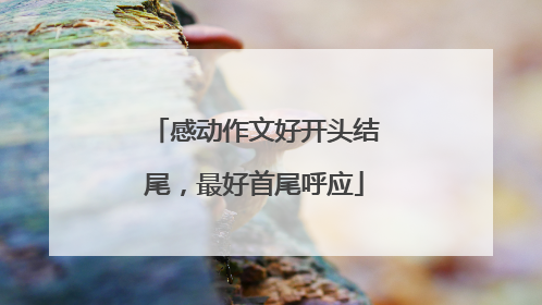 感动作文好开头结尾,最好首尾呼应