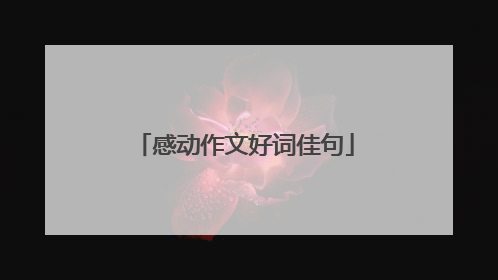 感动作文好词佳句