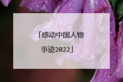 感动中国人物事迹2022