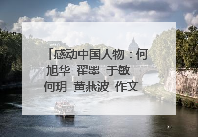 感动中国人物:何旭华 翟墨 于敏 何玥 黄燕波 作文素材一百字左右