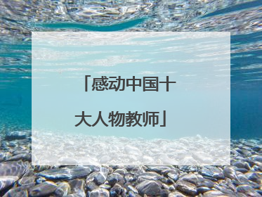 感动中国十大人物教师