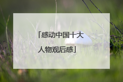 感动中国十大人物观后感
