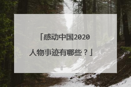 感动中国2020人物事迹有哪些？