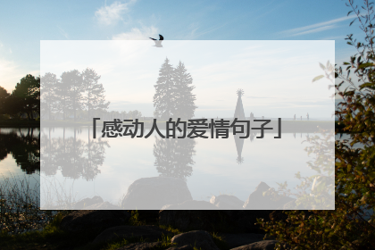 感动人的爱情句子